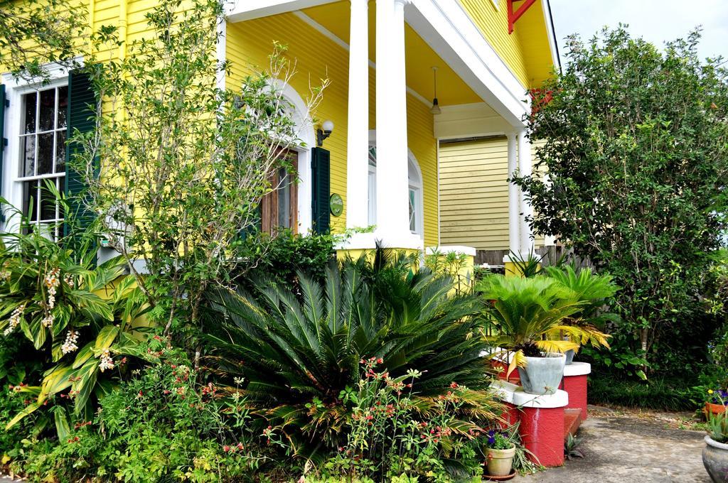 Auld Sweet Olive Bed And Breakfast New Orleans Dış mekan fotoğraf