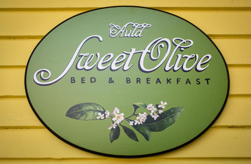 Auld Sweet Olive Bed And Breakfast New Orleans Dış mekan fotoğraf
